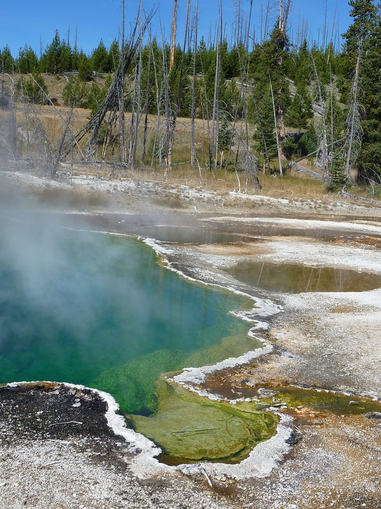 Yellowstone West Thumb Area (33).JPG